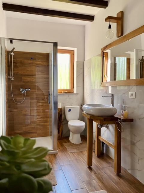 Cabana Elena Borşa Dış mekan fotoğraf